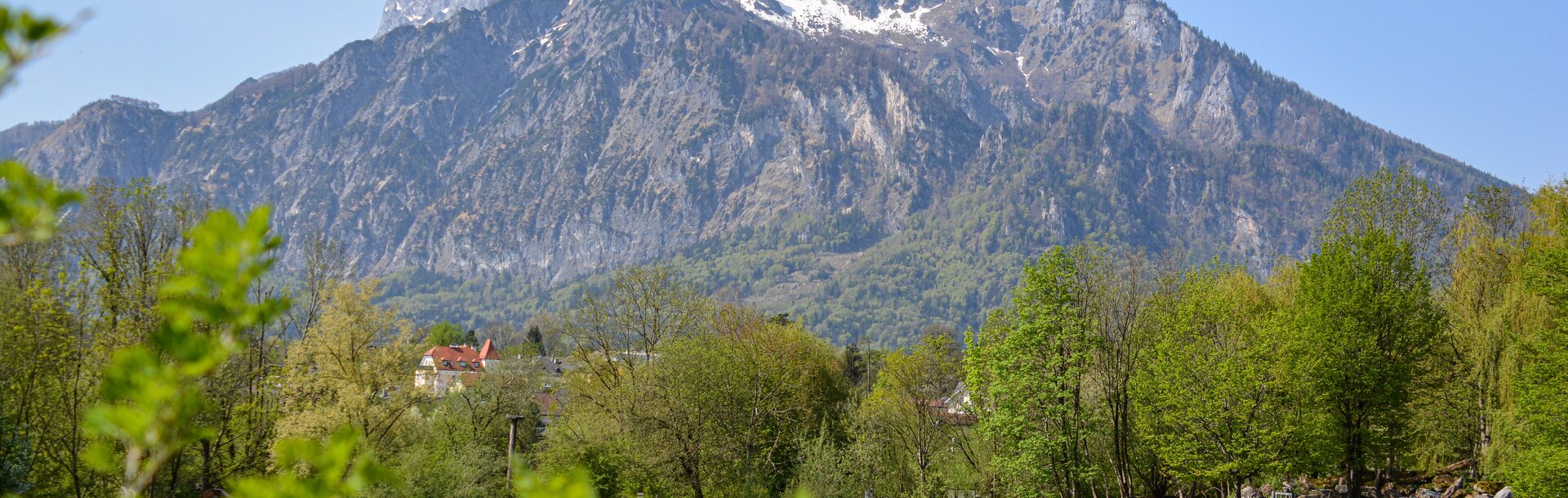 Breitmaulnashorn auf einer Wiese mit Untersberg im Hintergrund | © Zoo Salzburg/Lisa Sernow