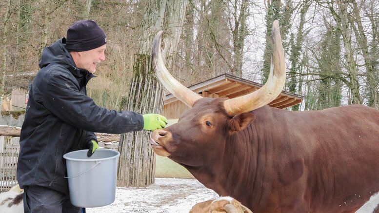   © Zoo Salzburg / Angelika Köppl | © Zoo Salzburg / Angelika Köppl